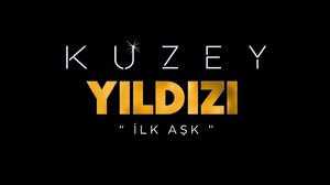 Kuzey Yıldızı İlk Aşk 64.Bölüm izle (FİNAL)