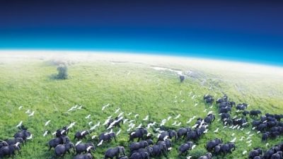 Planet Earth 1.Sezon 5.Bölüm izle