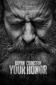 Your Honor izle 