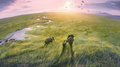 Planet Earth III 1.Sezon 5.Bölüm izle