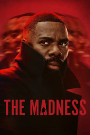 The Madness Türkçe Dublaj izle 