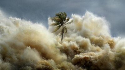 Tsunami: Kıyamet Dalgaları 1.Sezon 2.Bölüm izle