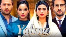 Yalnız Karar 2.Bölüm izle