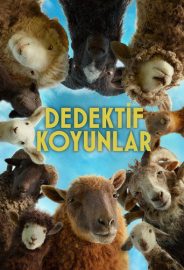 Bir Koyun Polisiyesi izle