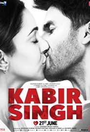 Kabir Singh izle