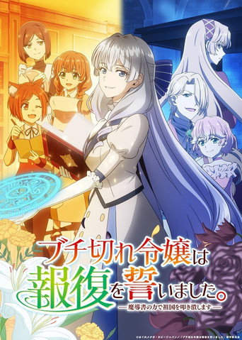 The Furious Princess Decided to Take Revenge izle