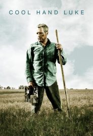 Parmaklıklar Arasında izle